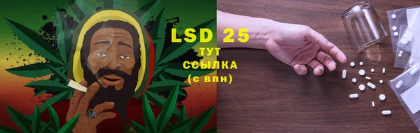 экстази Бородино