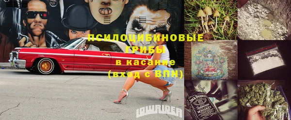 ПСИЛОЦИБИНОВЫЕ ГРИБЫ Бронницы