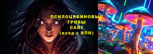 Альфа ПВП Бугульма