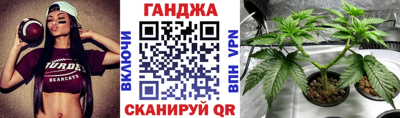 Шишки марихуана марихуана гидра ссылки shop состав Медвежьегорск
